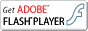 Scarica Macromedia Flash Player